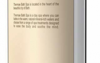 Pylônes double face