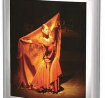 Panneaux muraux lumineux